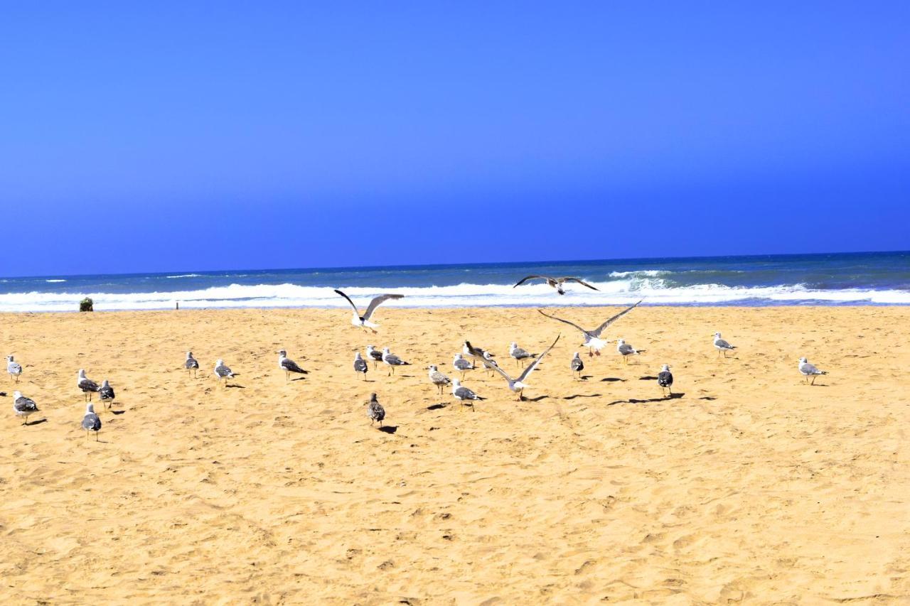 Casabay Sidi Rahal, Appartement Avec Acces Direct A La Plage Et Piscine Sidi Rahal  Exteriér fotografie